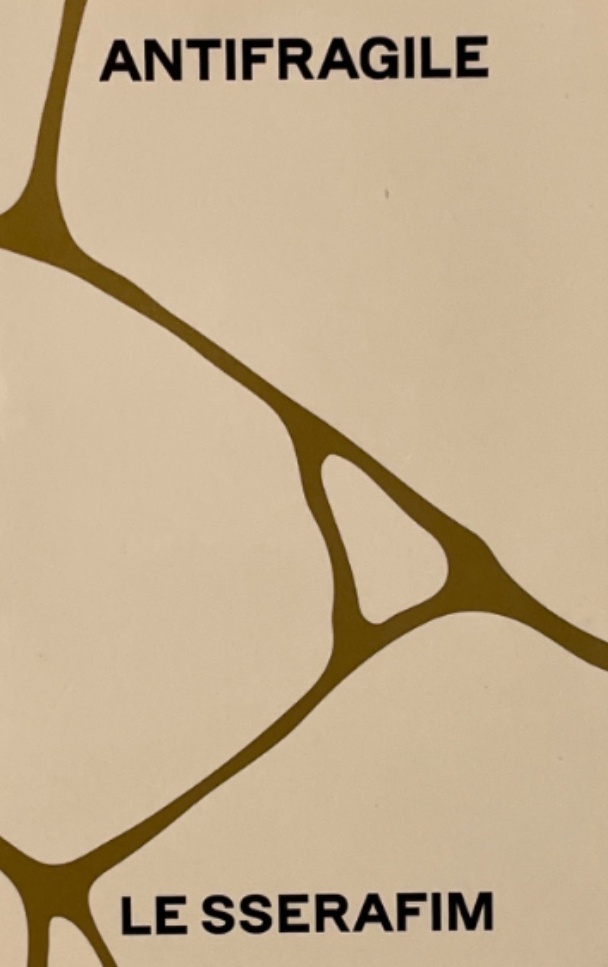 Eunchae LE SSERAFIM photocard back side - Photocards