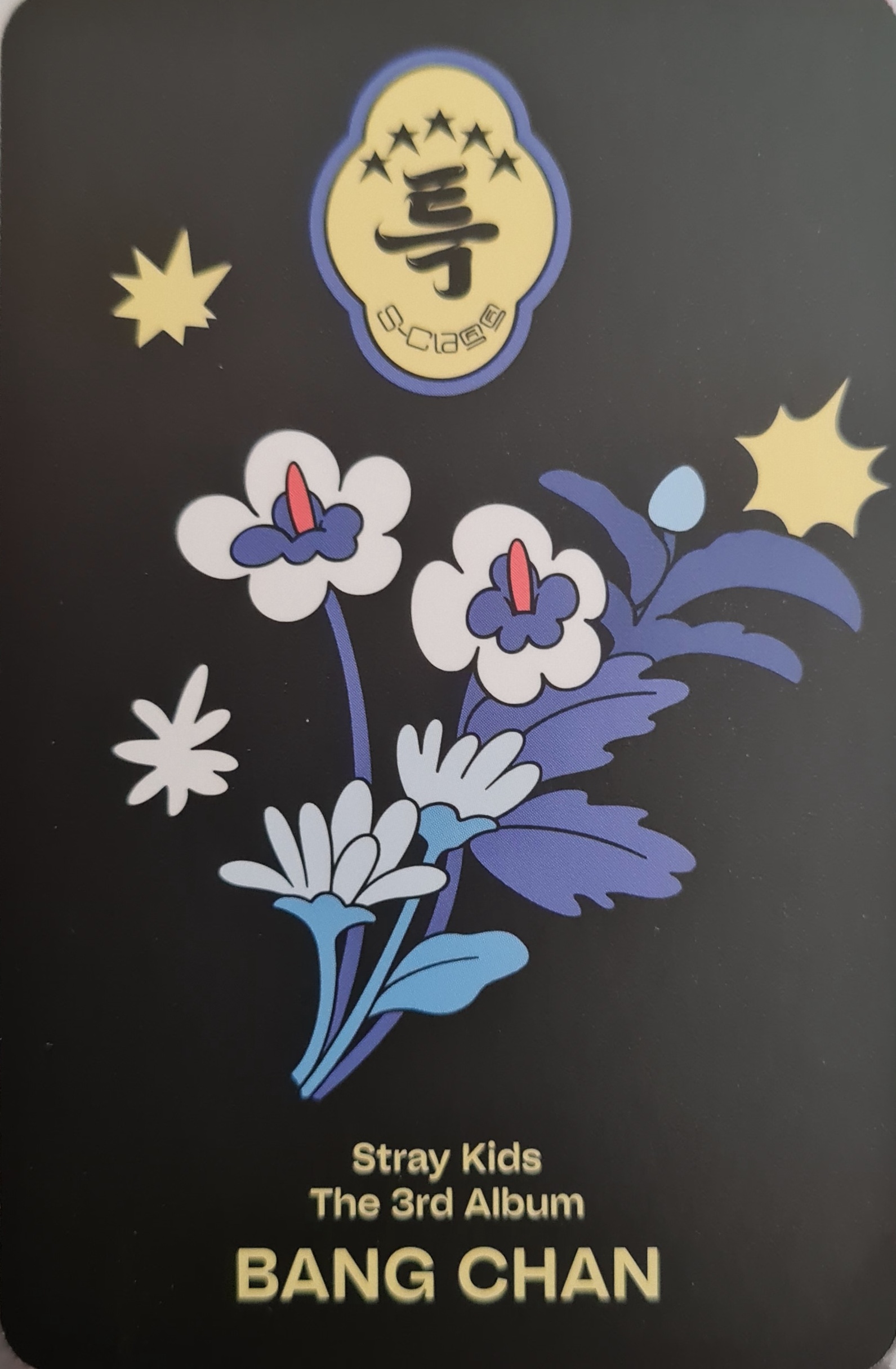 Bang Chan Stray Kids photocard back side - Photocards