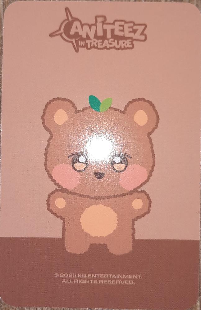 Jongho ATEEZ photocard back side - Mini Plush