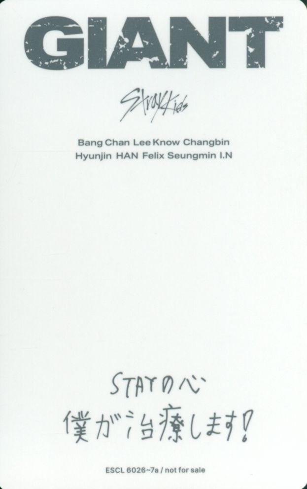 Changbin Stray Kids photocard back side - Selfie Photocard