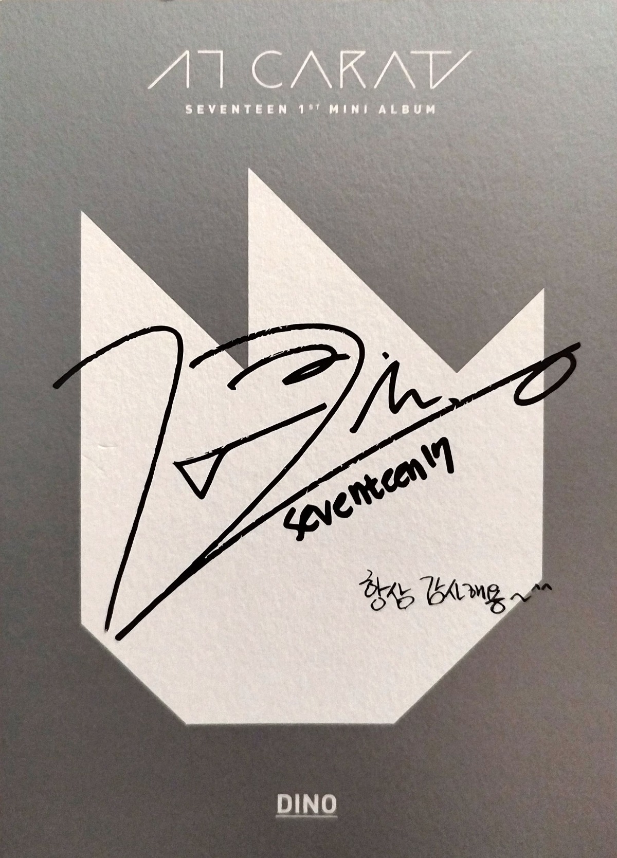 Dino SEVENTEEN photocard back side - Postcard Set