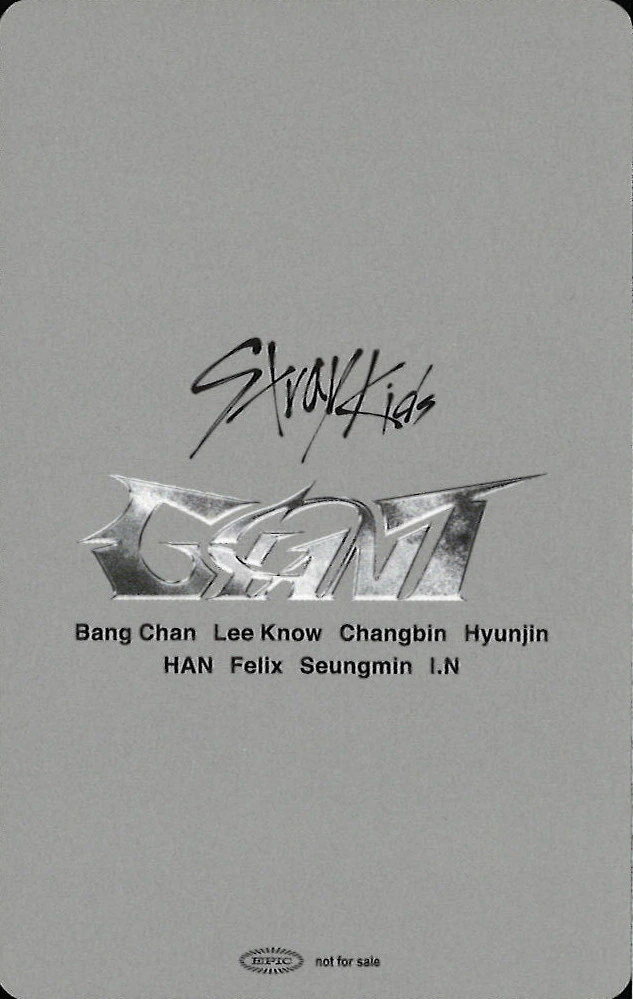 I.N Stray Kids photocard back side - 11/17 - Tokyo Dome