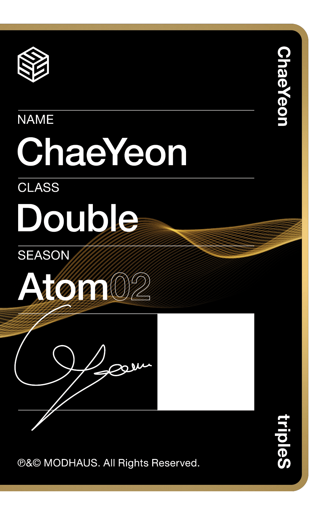 Chaeyeon tripleS photocard back side - Double Class Objekt