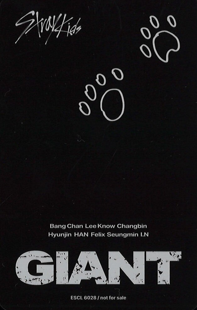 Seungmin Stray Kids photocard back side - Photocard