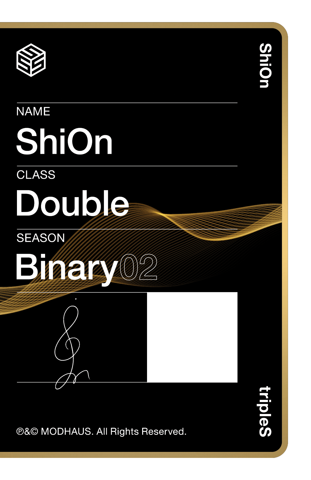 Shion tripleS photocard back side - Double Class Objekt