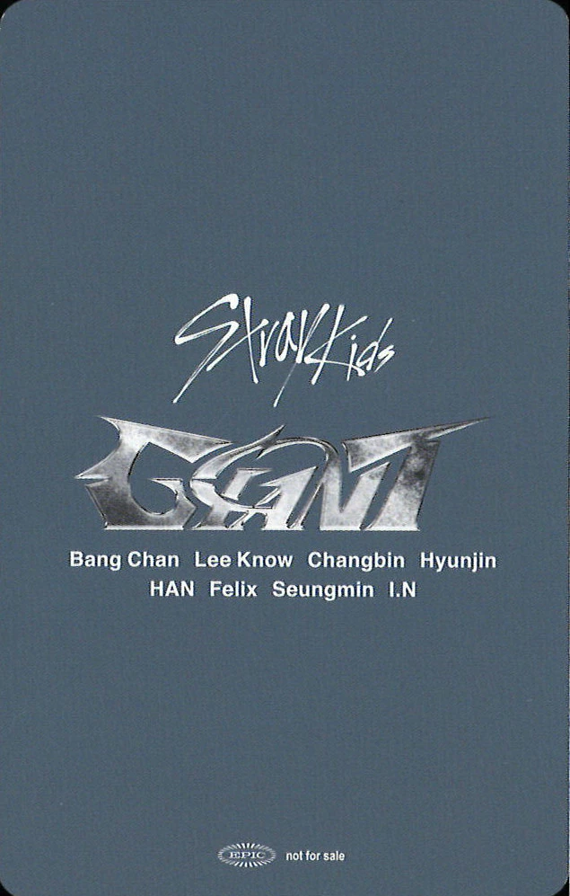 Bang Chan Stray Kids photocard back side - 03/16 - Offline LD (Intex Osaka Hall)