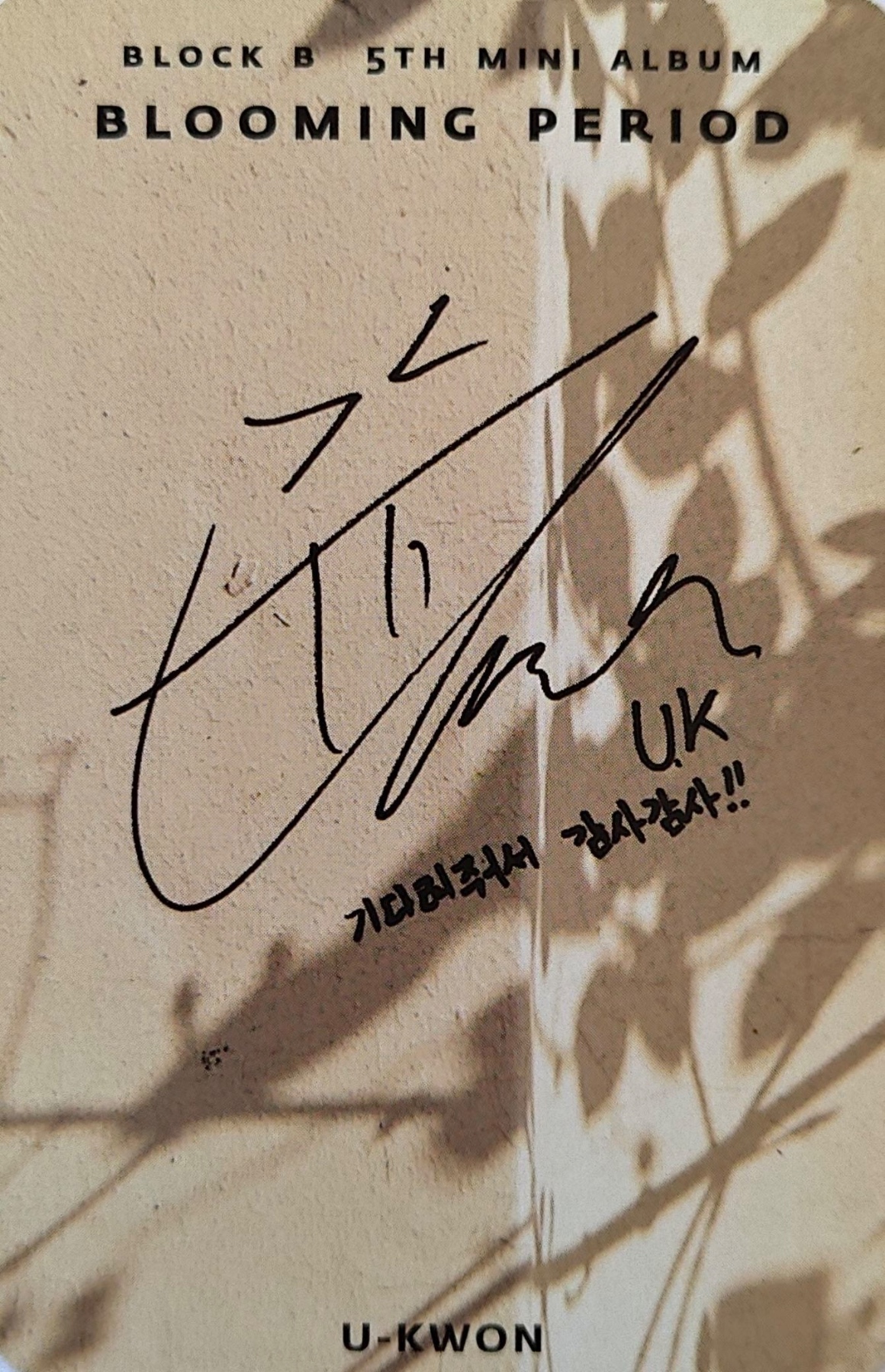 U-kwon Block B photocard back side - Photocard