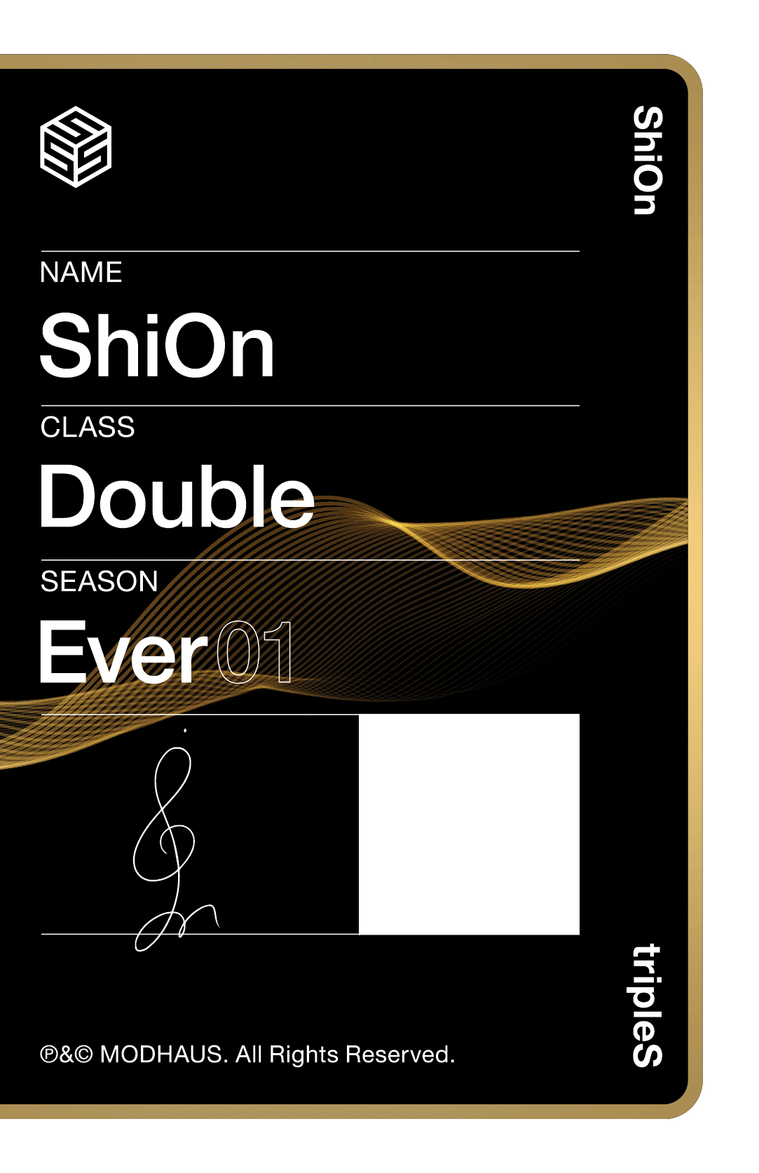 Shion tripleS photocard back side - Photocard (Ver 3)