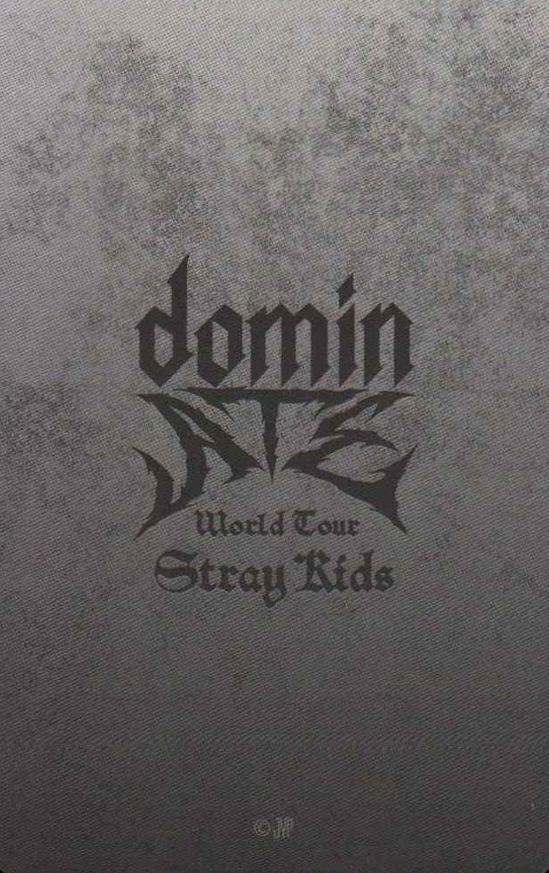 I.N Stray Kids photocard back side - Photocards / STADIUM (Japan)