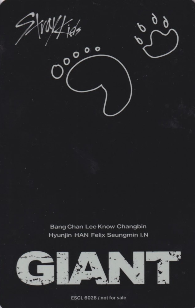 Bang Chan Stray Kids photocard back side - Photocard