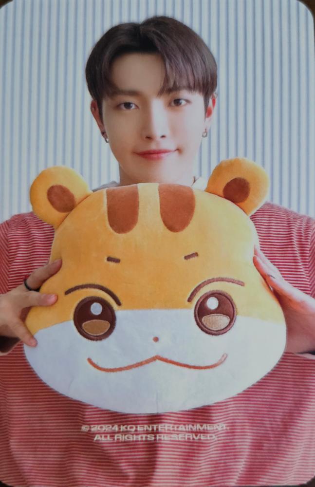 Hongjoong ATEEZ photocard back side - Plush Cushion