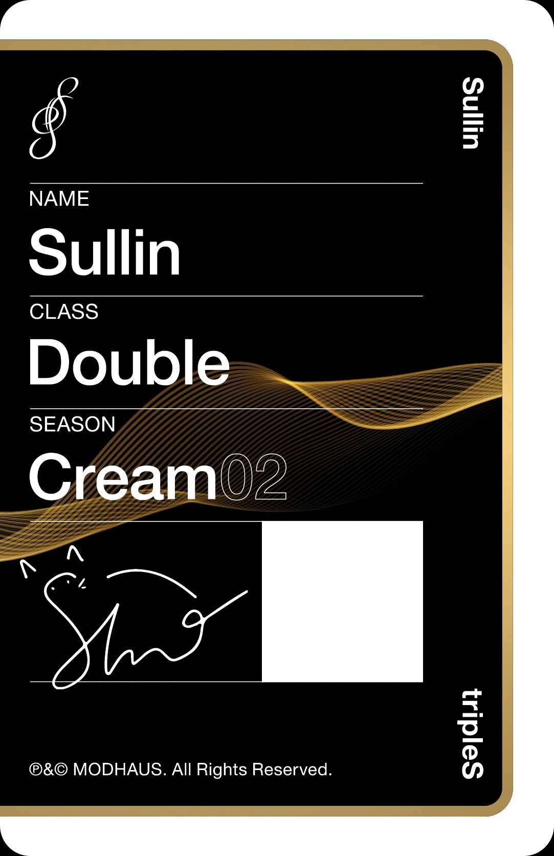 Sullin tripleS photocard back side - Double Class Objekt