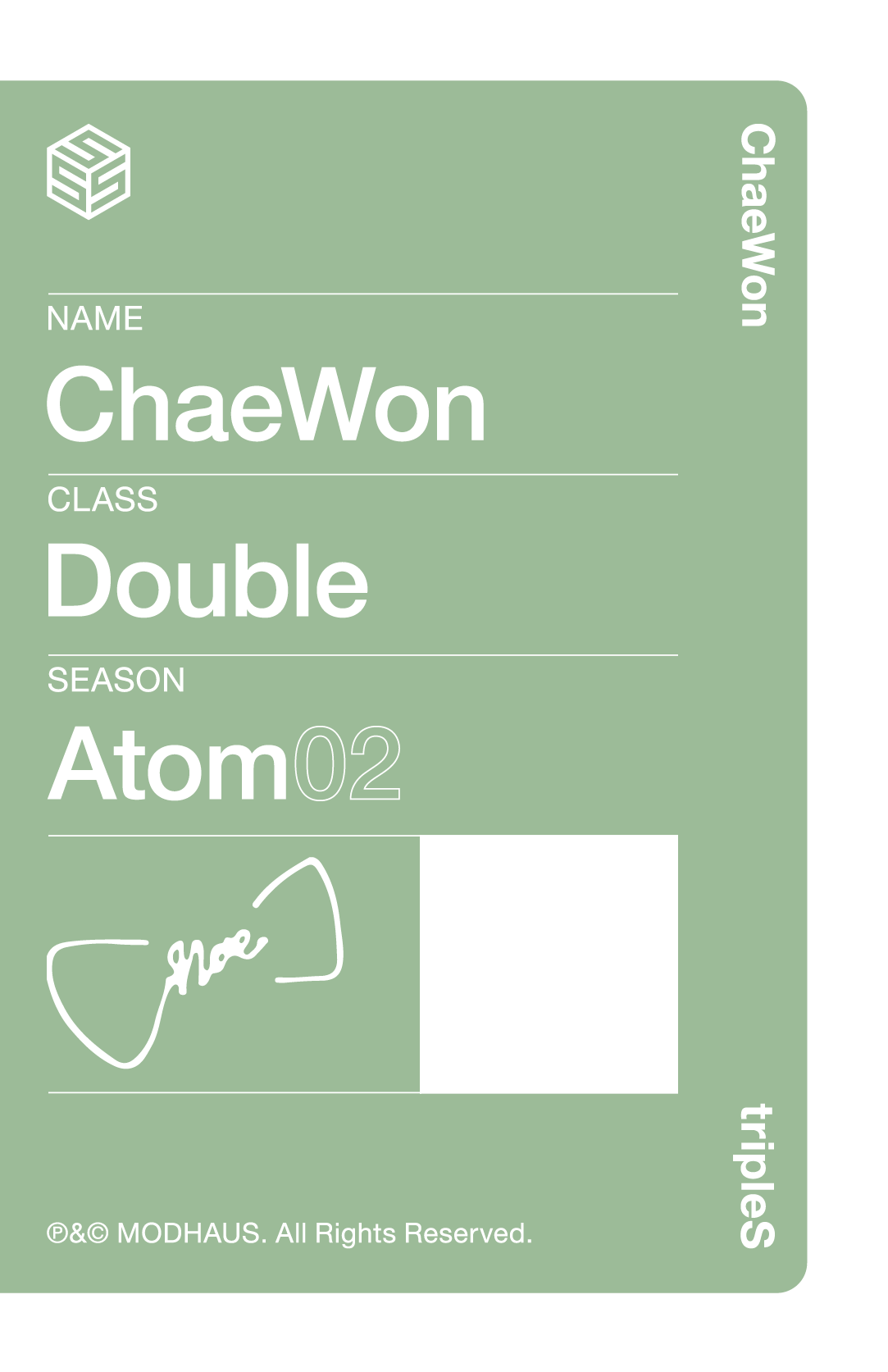 Chaewon tripleS photocard back side - Double Class Objekt