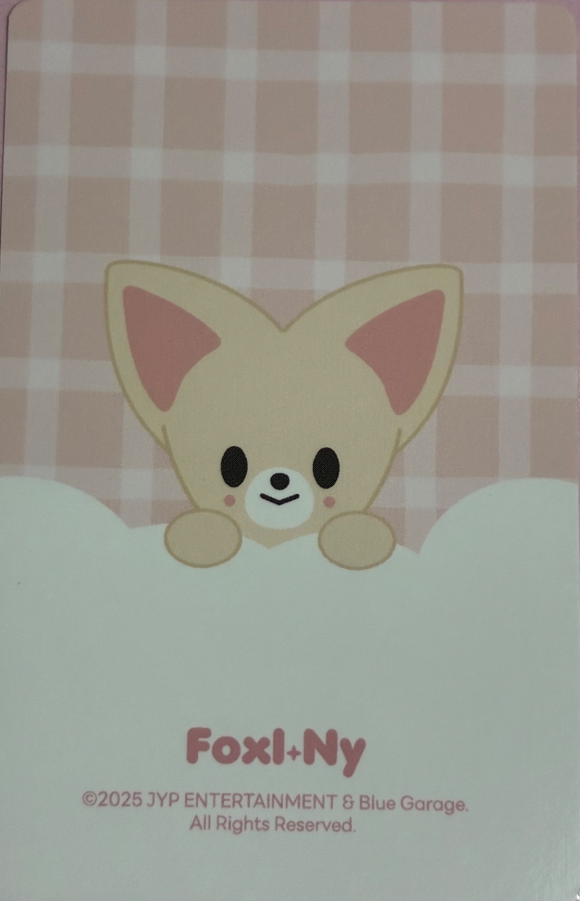 I.N Stray Kids photocard back side - SKZOO Tincase