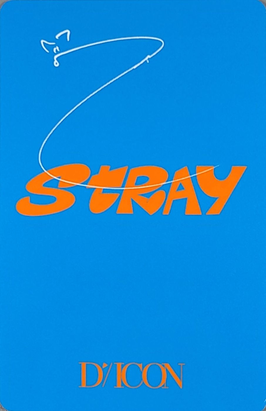 I.N Stray Kids photocard back side - Photocard