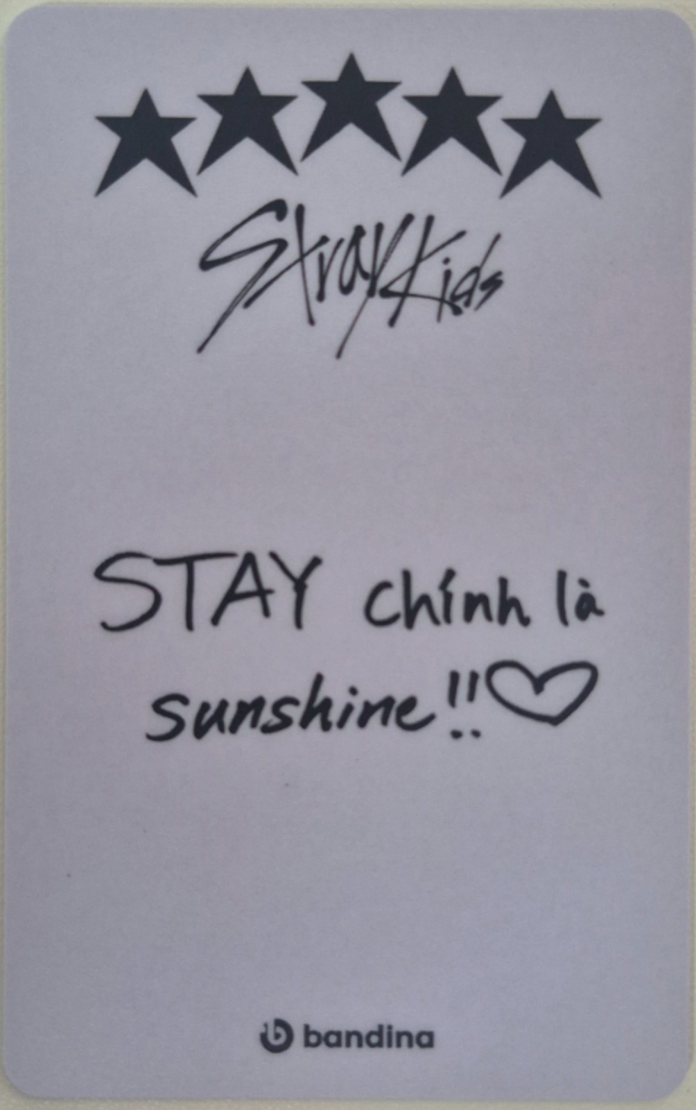 Felix Stray Kids photocard back side - Benefit