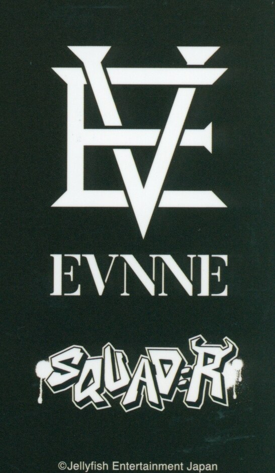 Yunseo & Seungeon EVNNE photocard back side - Random Photocard Set