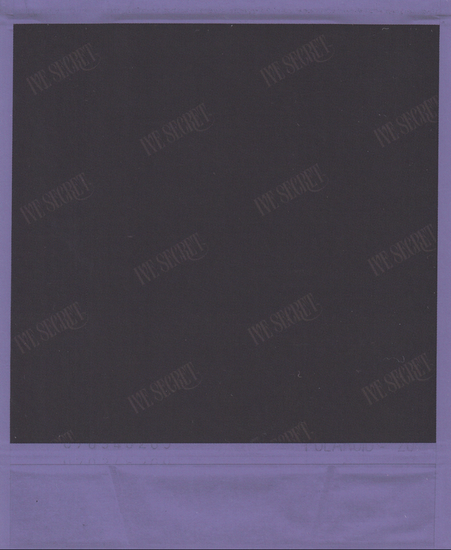 Liz IVE photocard back side - Polaroid