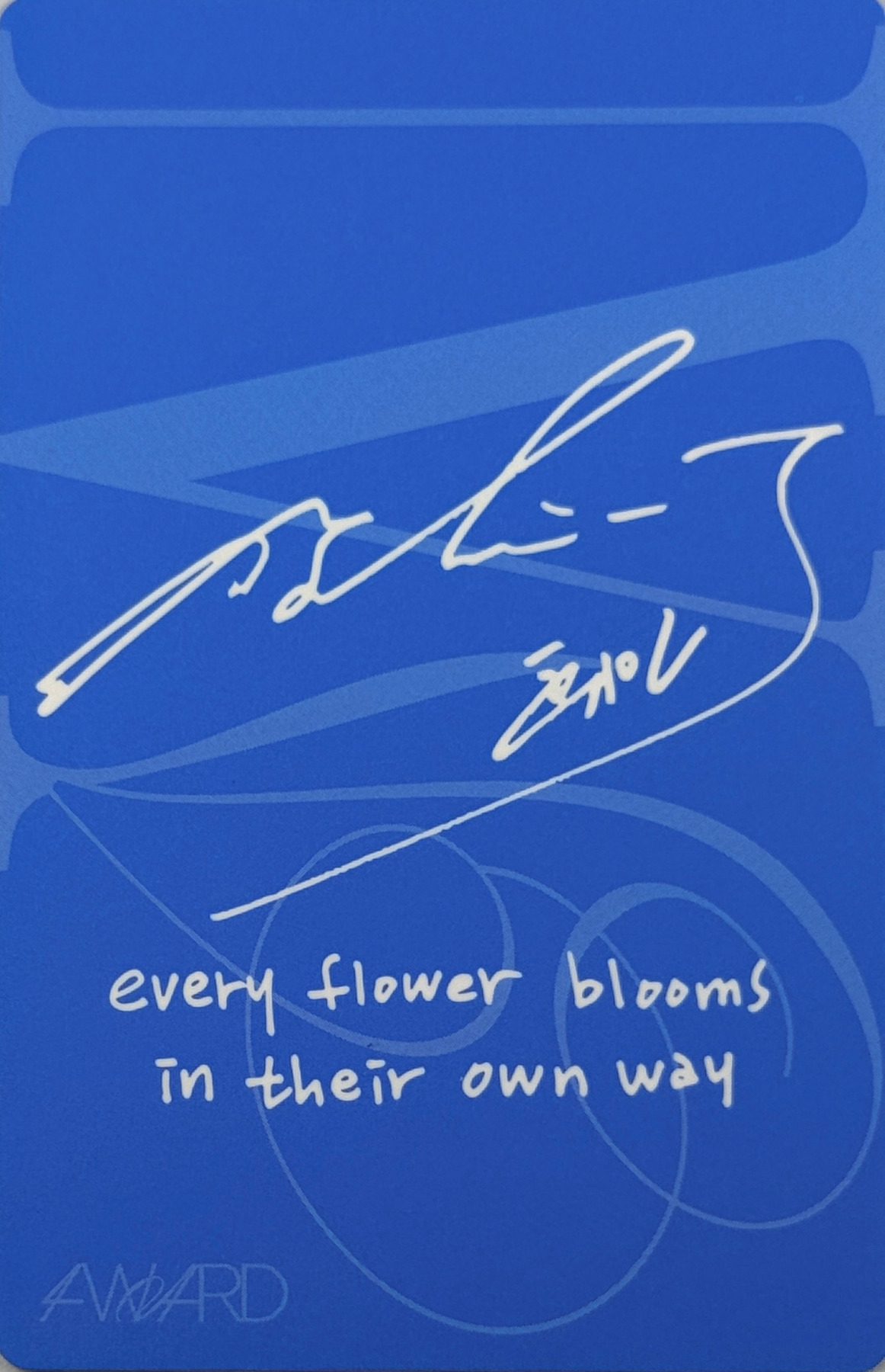 Wheein MAMAMOO photocard back side - Silence ver. Photocard