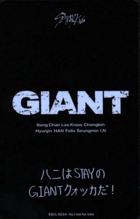 Han Stray Kids photocard back side - Selfie Photocard