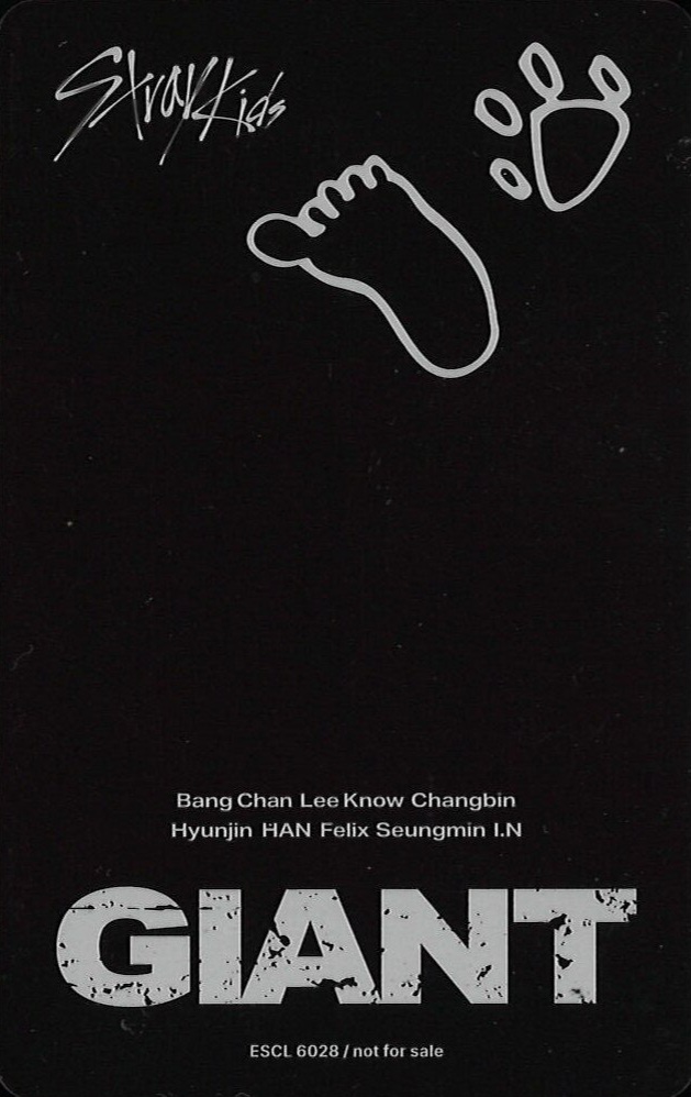Han Stray Kids photocard back side - Photocard