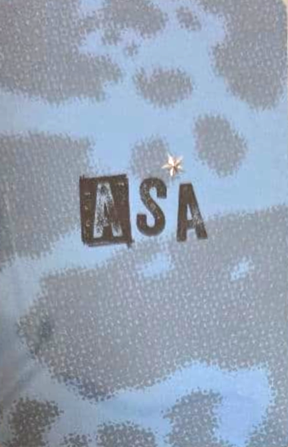 Asa BABYMONSTER photocard back side - Selfie Photocards