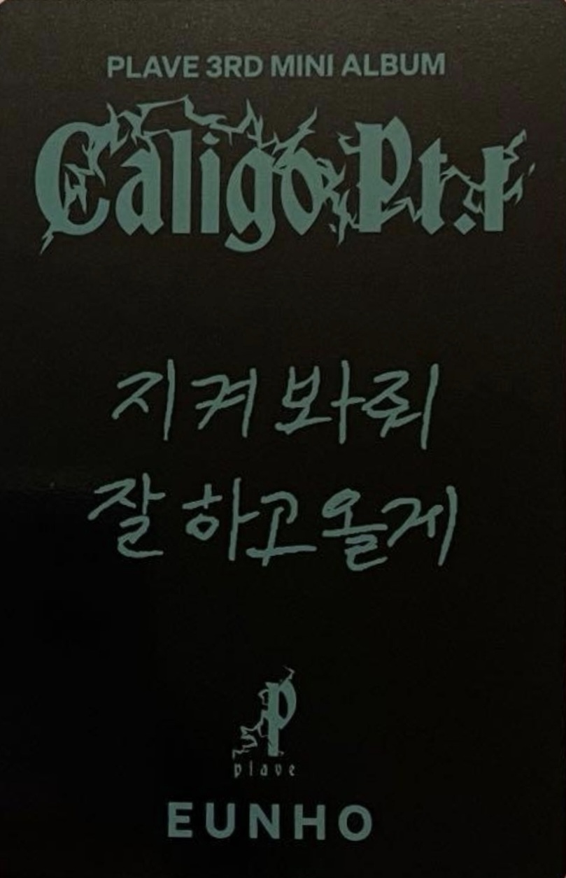 Eunho PLAVE photocard back side - Photocard Pack
