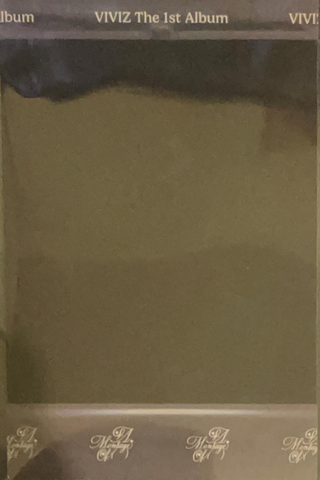 Eunha VIVIZ photocard back side - Polaroid