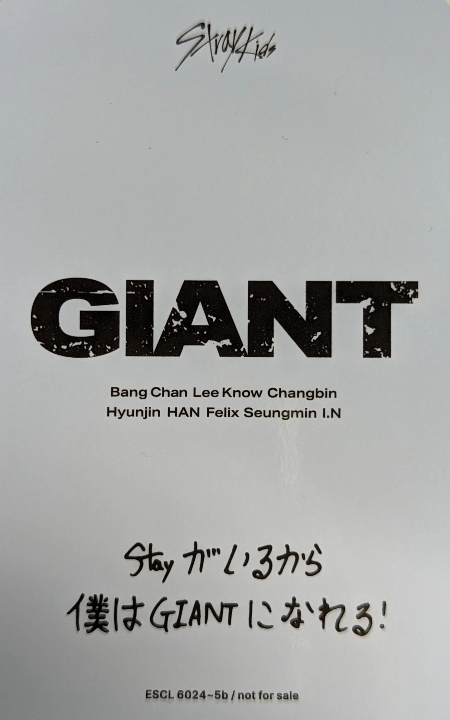 I.N Stray Kids photocard back side - Concept Photocard