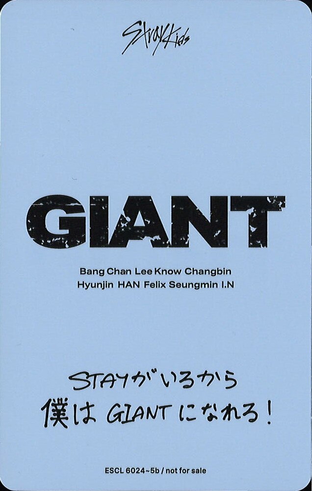 Bang Chan Stray Kids photocard back side - Concept Photocard
