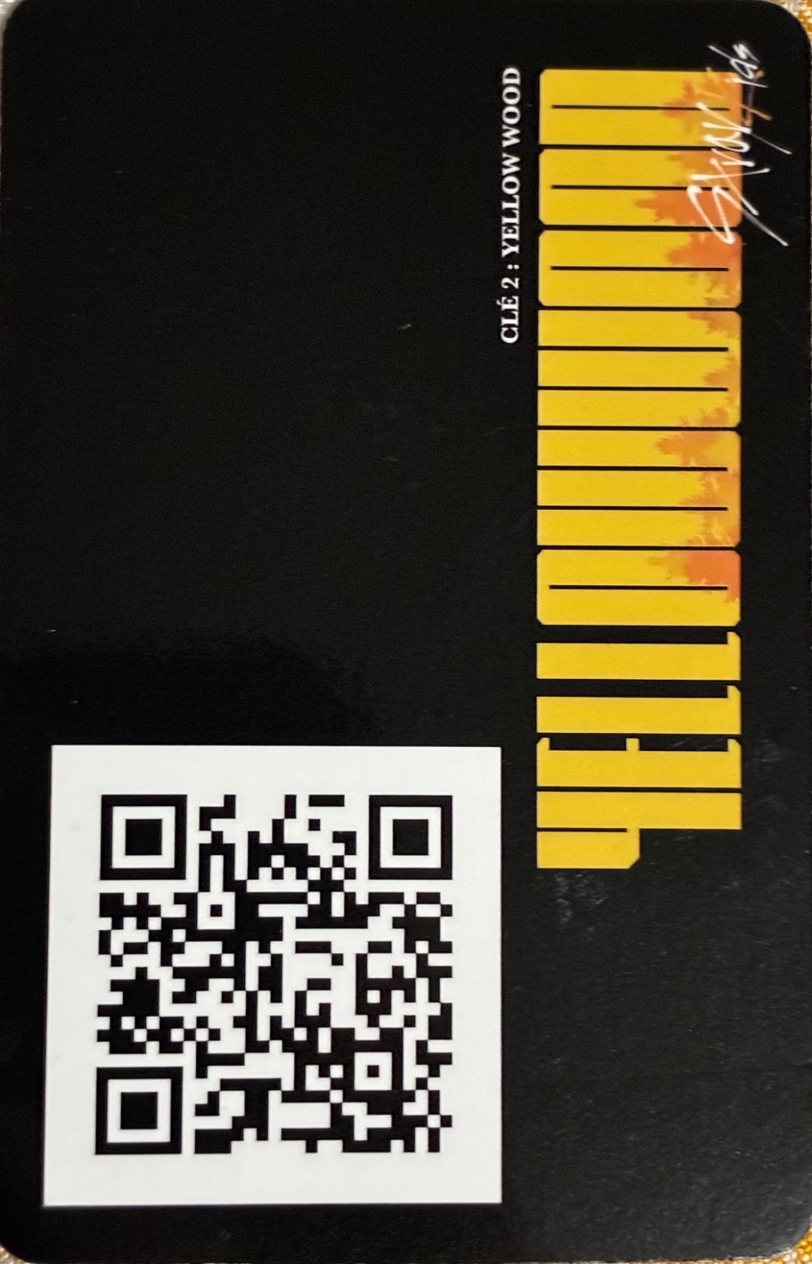 I.N Stray Kids photocard back side - QR Photocards