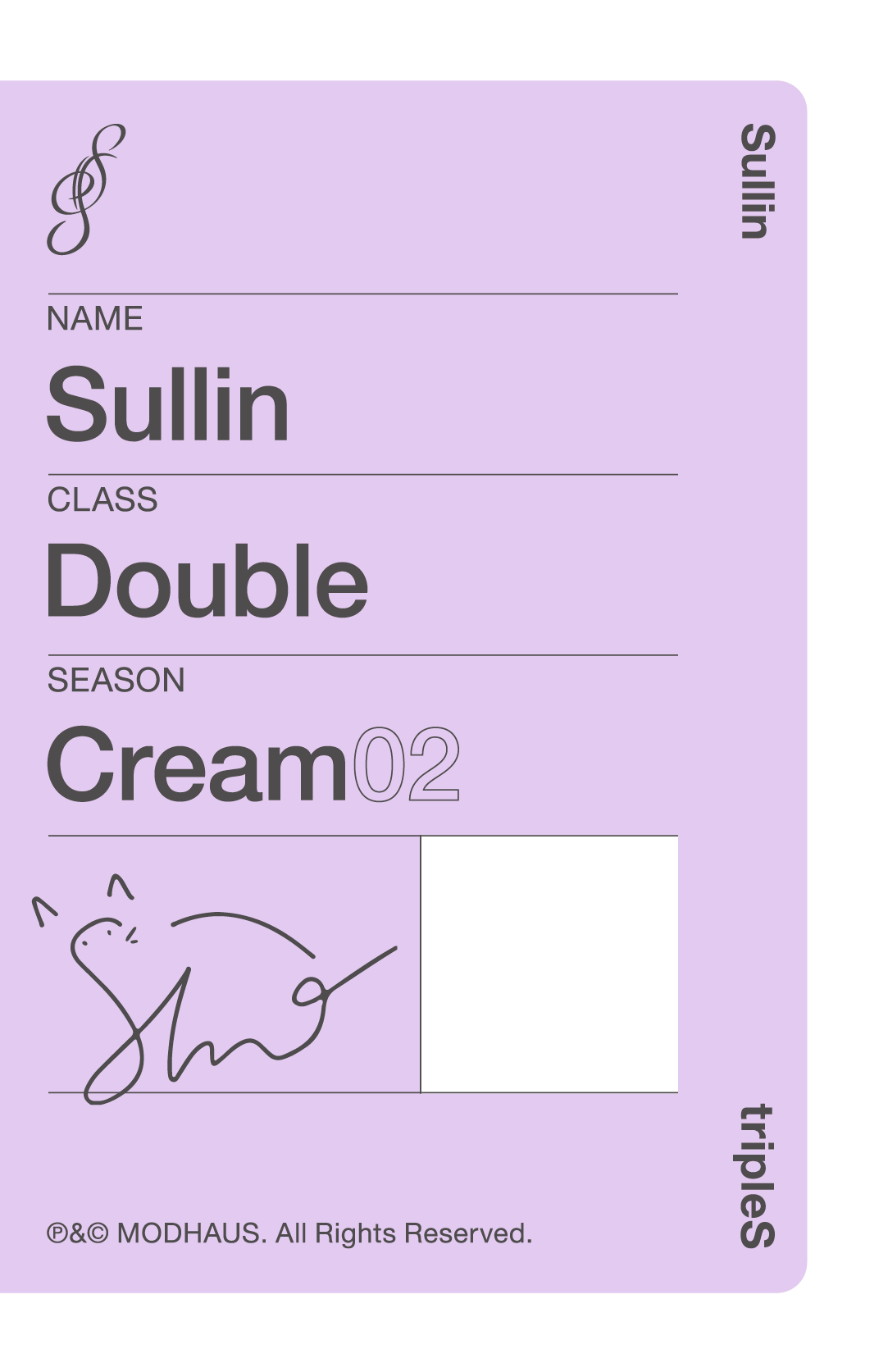 Sullin tripleS photocard back side - Double Class Objekt