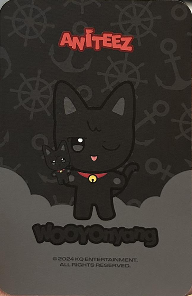 Wooyoung ATEEZ photocard back side - Plush Doll