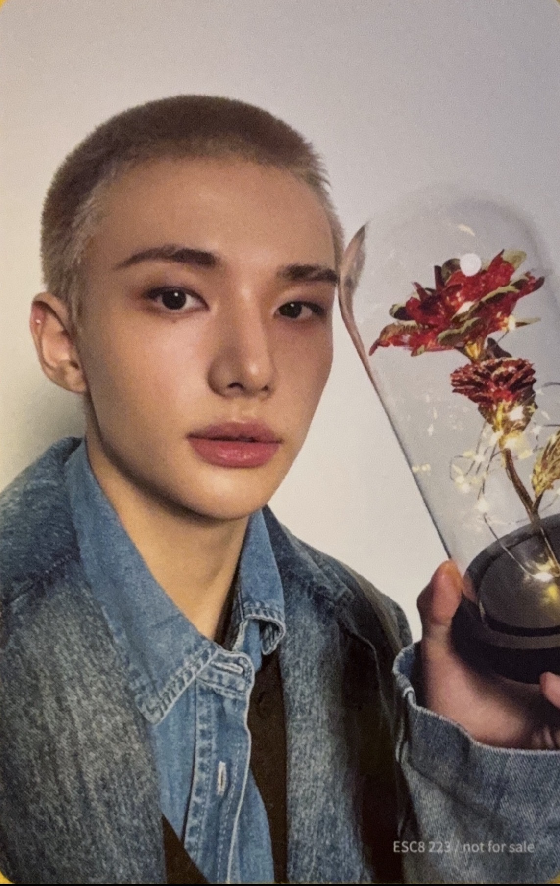 Hyunjin Stray Kids photocard back side - Photocard
