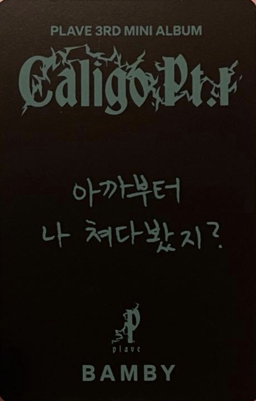 Bamby PLAVE photocard back side - Photocard Pack