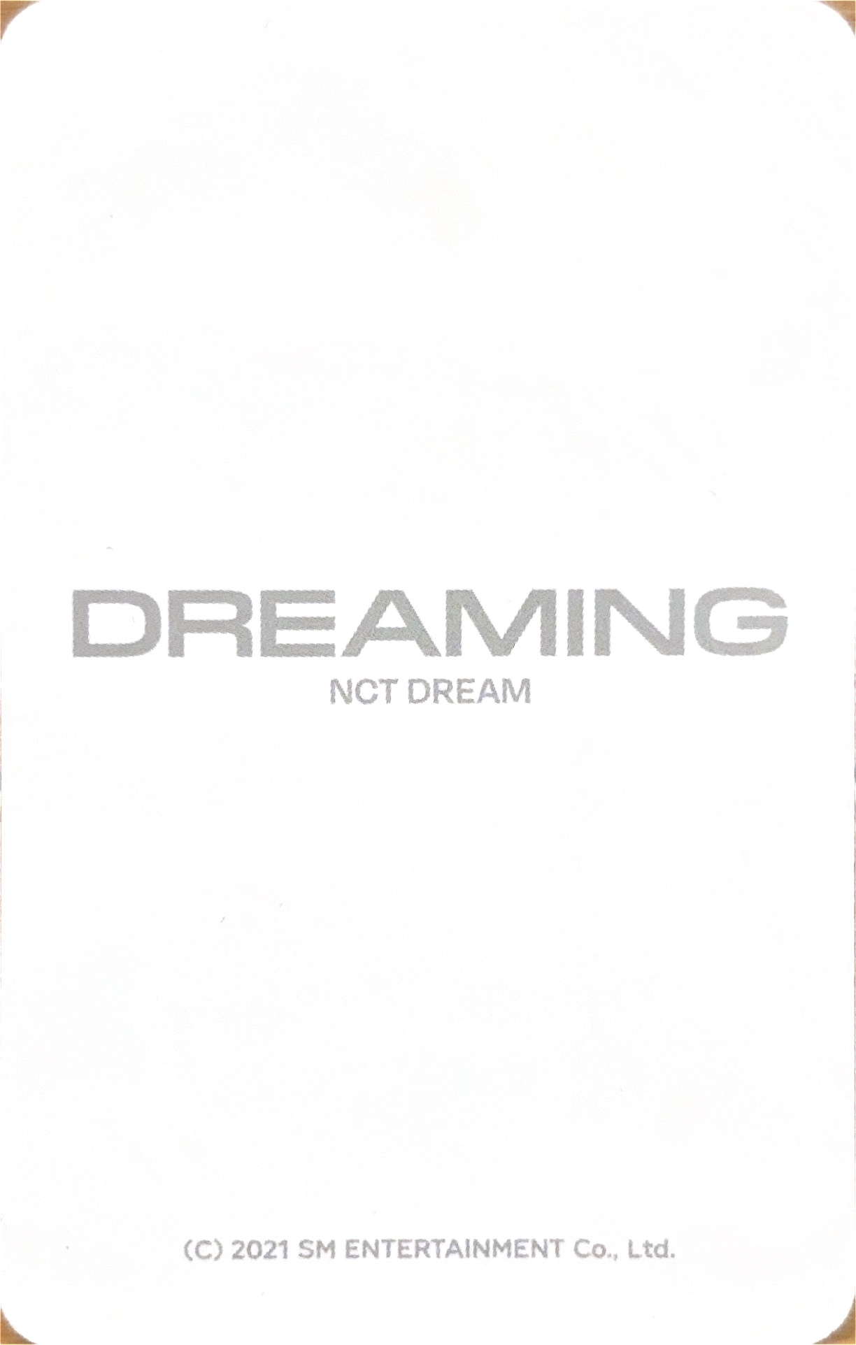 Jisung NCT DREAM photocard back side - Luggage