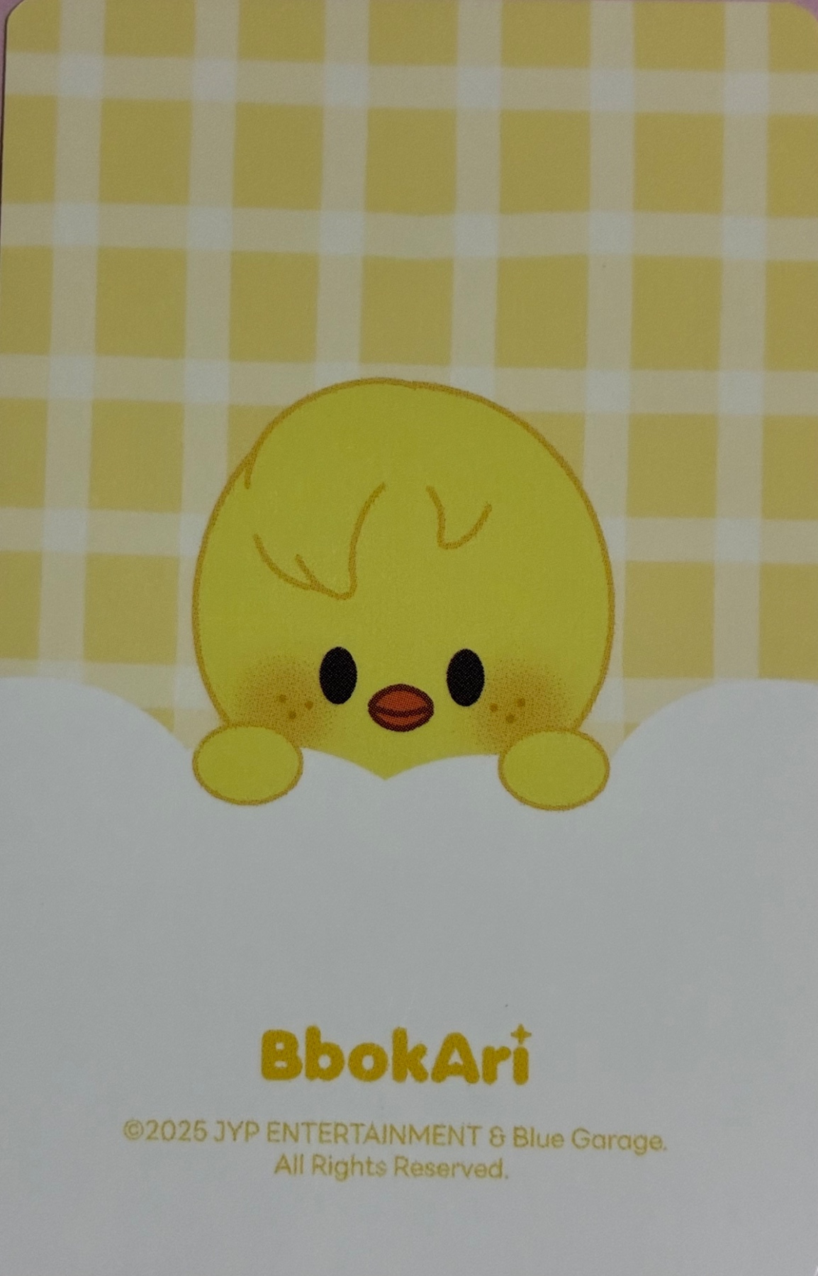 Felix Stray Kids photocard back side - SKZOO Tincase