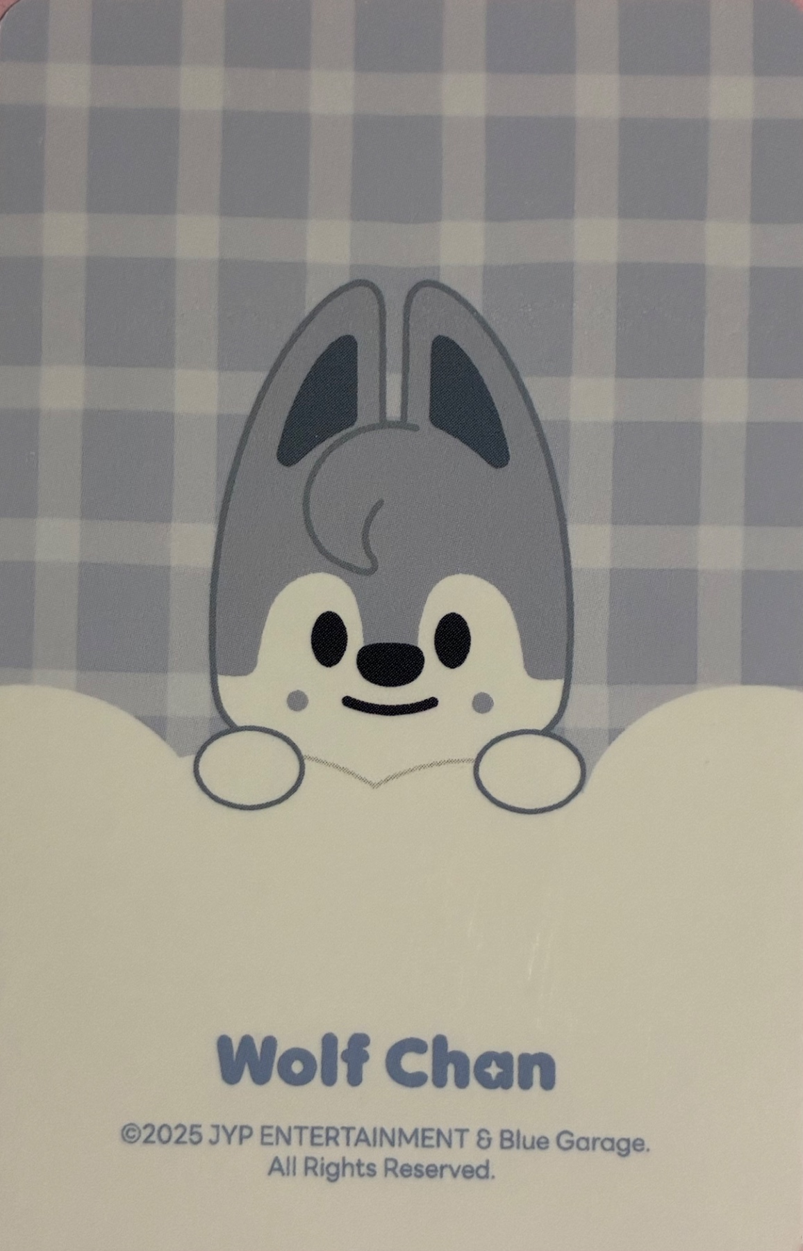 Bang Chan Stray Kids photocard back side - SKZOO Tincase