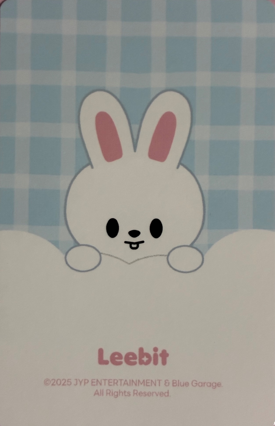 Lee Know Stray Kids photocard back side - SKZOO Tincase