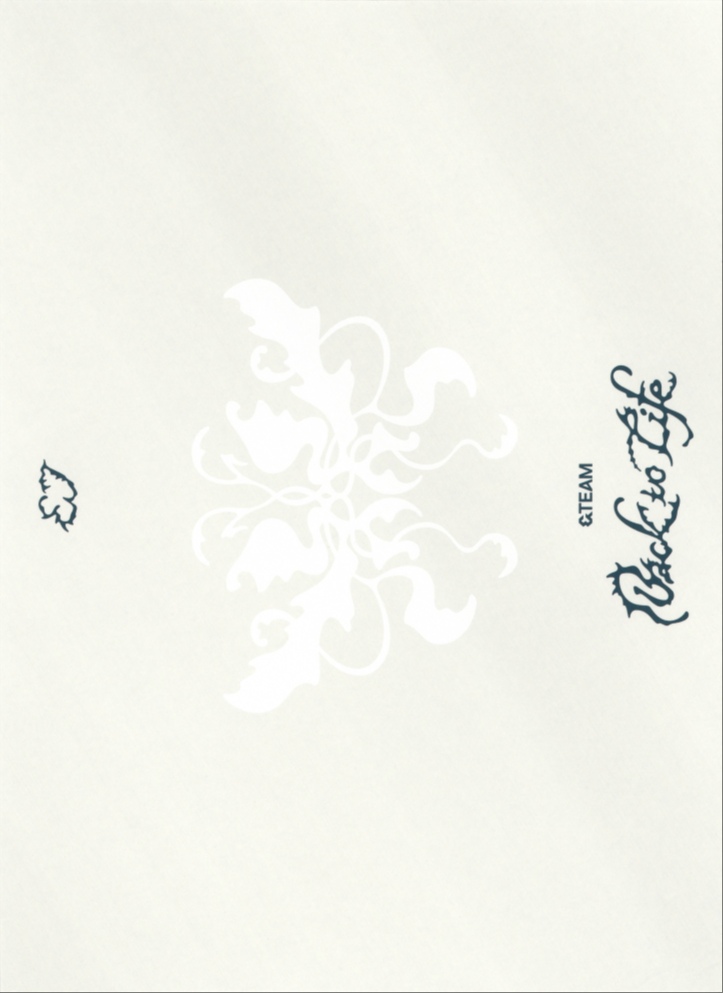 EJ &TEAM photocard back side - Postcard Set
