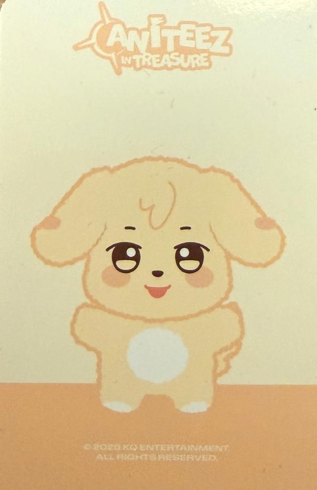 Yunho ATEEZ photocard back side - Mini Plush