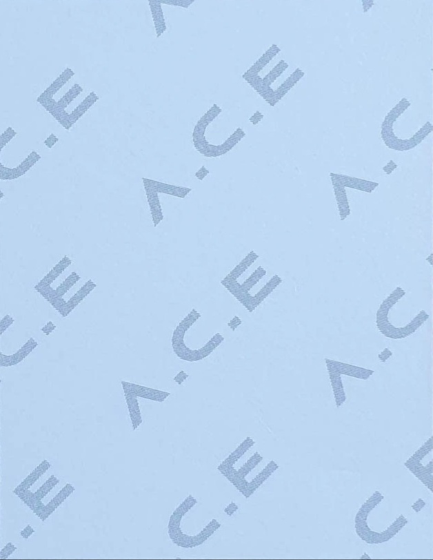 Byeongkwan A.C.E photocard back side - First Press ID Photo
