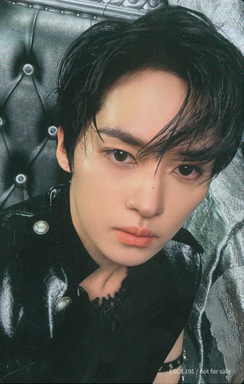 Lee Know Stray Kids photocard back side - Photocard