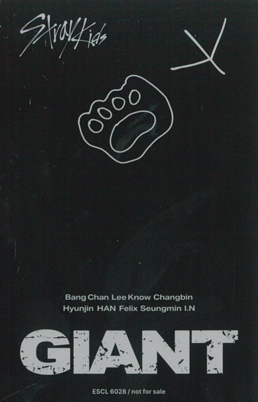 Felix Stray Kids photocard back side - Photocard