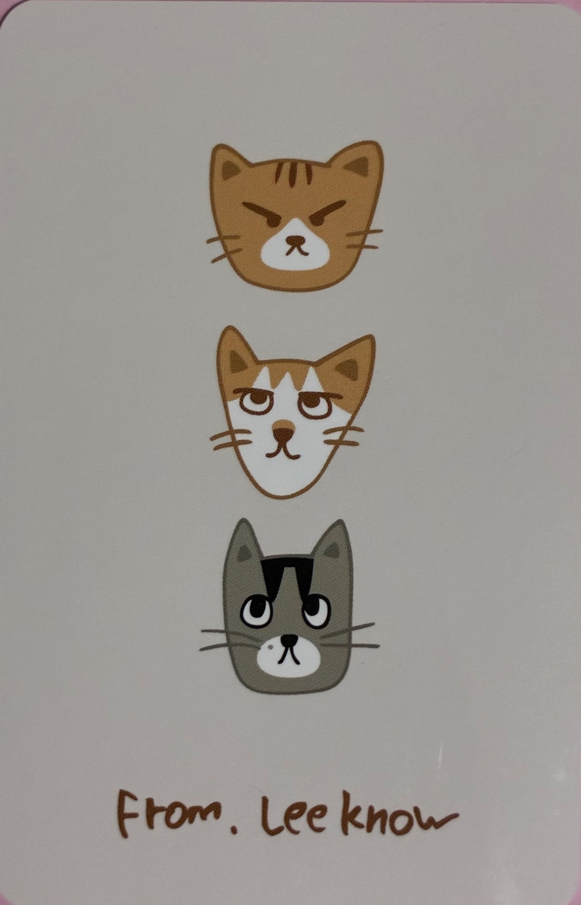 Lee Know Stray Kids photocard back side - Member MD