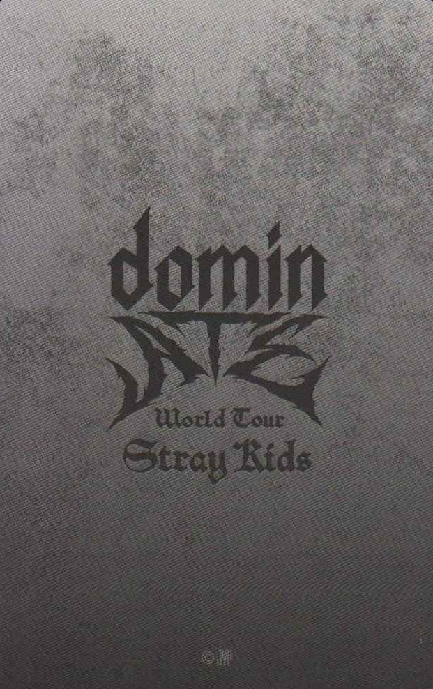 Changbin Stray Kids photocard back side - Photocards / STADIUM (Japan)