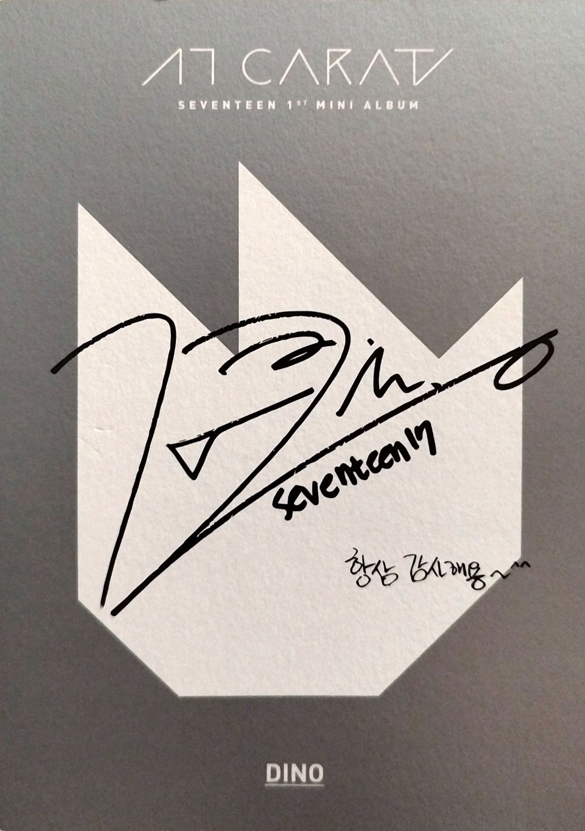 Dino SEVENTEEN photocard back side - Postcard Set