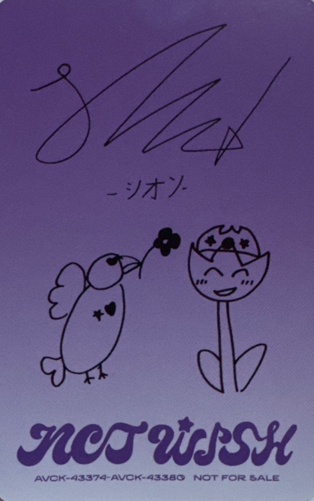 Sion NCT WISH photocard back side - Trading Cards