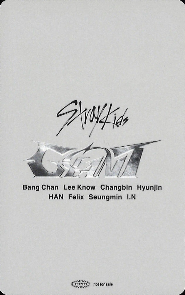 I.N Stray Kids photocard back side - 11/16 - Tokyo Dome