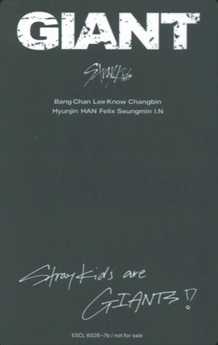 Bang Chan Stray Kids photocard back side - Concept Photocard